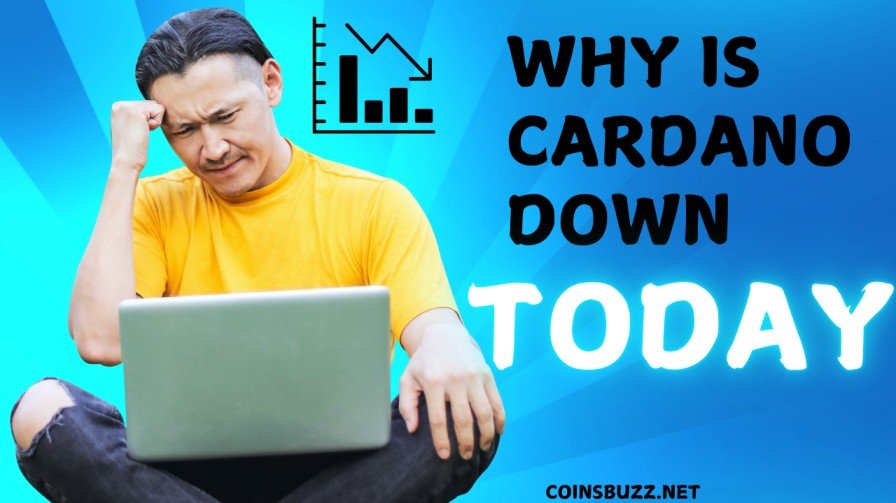 Why is Cardano Price down today