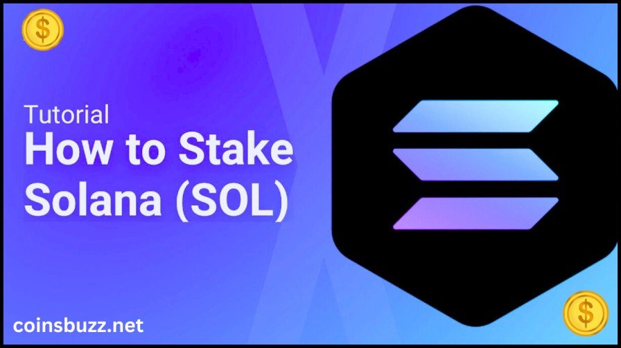 How to stake Solana